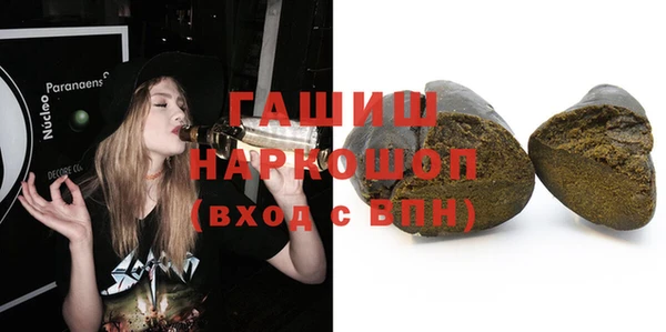 крисы Бородино