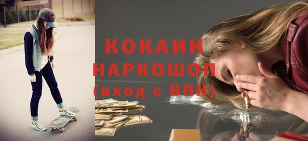 крисы Бородино