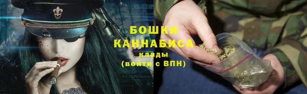 крисы Бородино