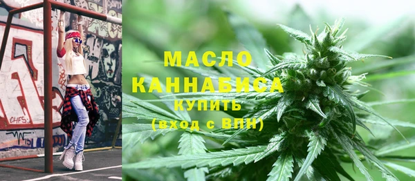 крисы Бородино