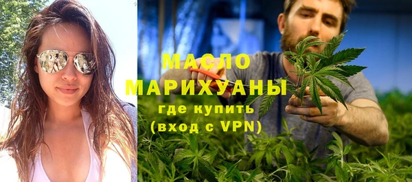 крисы Бородино