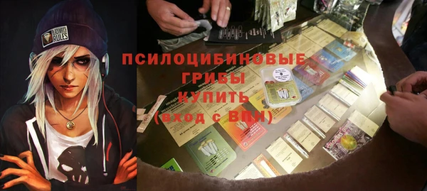 крисы Бородино