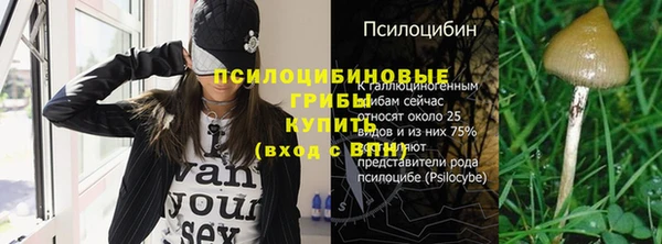 твердый Бронницы