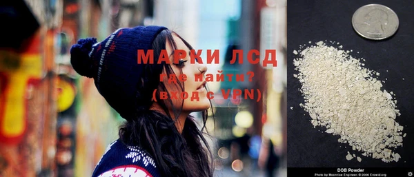 крисы Бородино