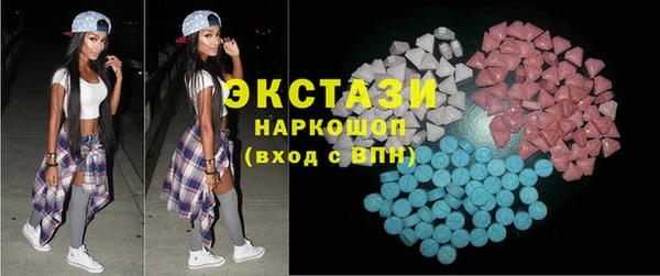 крисы Бородино